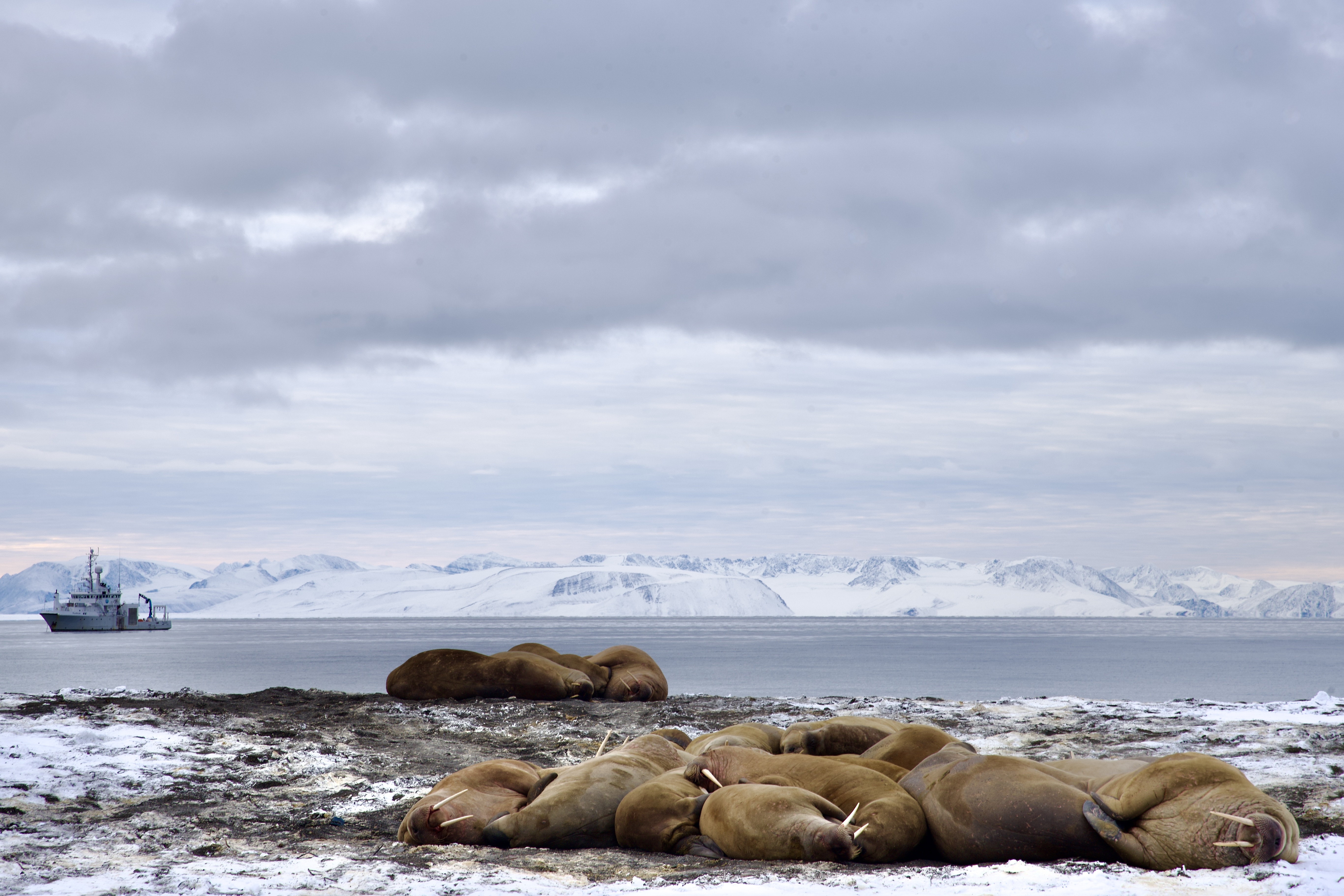 Foto: Audun Narvestad/SALT